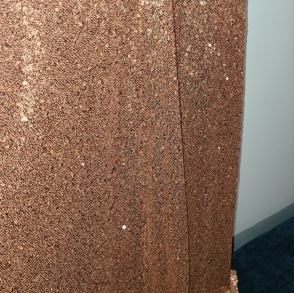 Revelry Gown, 12,Champagne - Picture 6 of 11